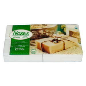 NOXES 500G 4PC *20